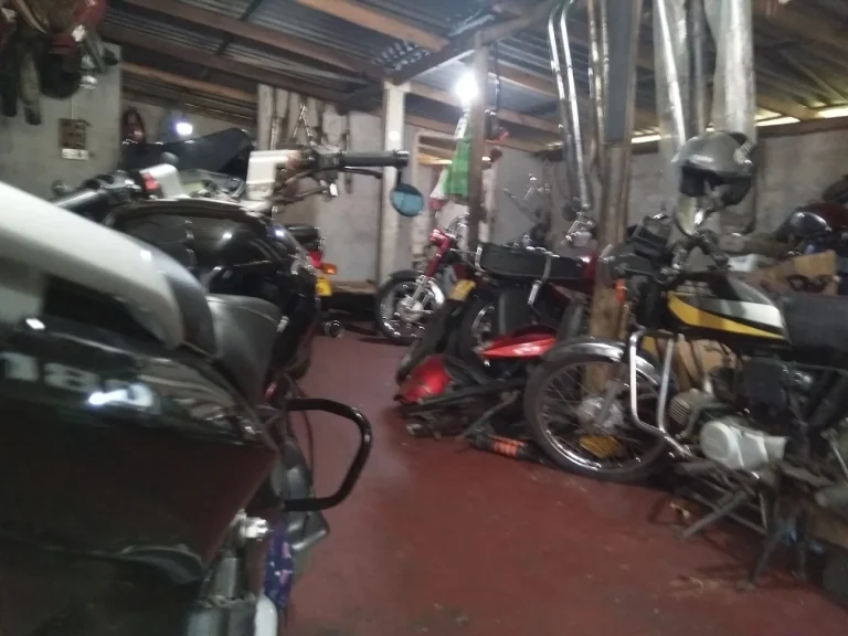 Gallery image