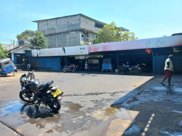 Gallery image